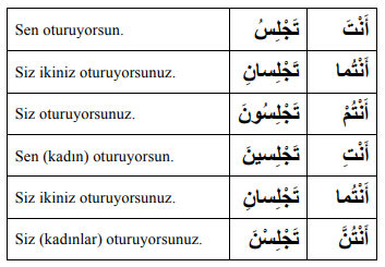 ARA1001-u09-Goruntu-10-3