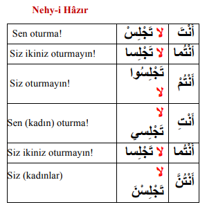 ARA1001-u09-Goruntu-10-4