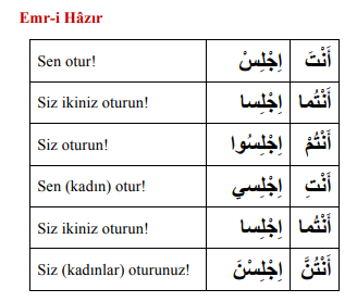 ARA1001-u09-Goruntu-10-5