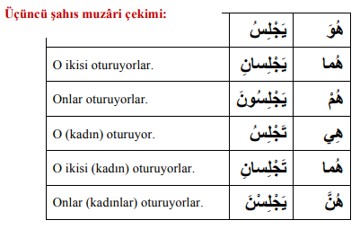 ARA1001-u09-Goruntu-10-6