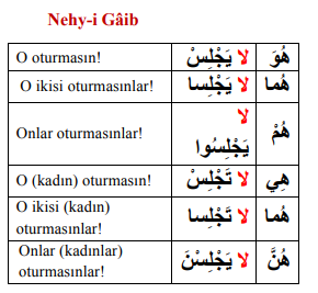 ARA1001-u09-Goruntu-10-7