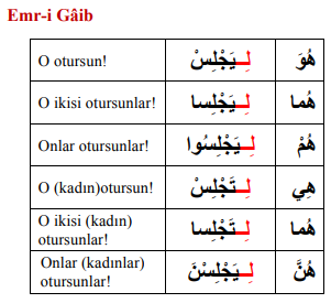 ARA1001-u09-Goruntu-10-8