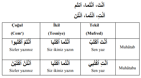 ARA1001-u09-Goruntu-9-11