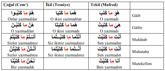 ARA1001-u09-Goruntu-9-1