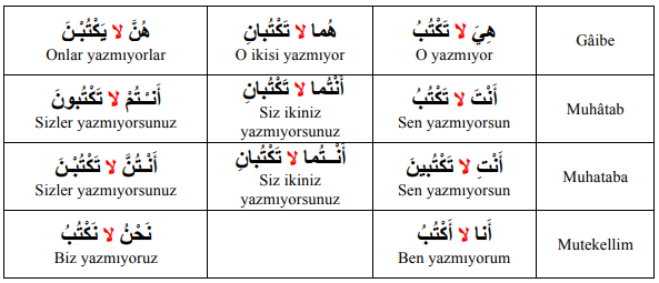 ARA1001-u09-Goruntu-9-3