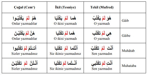 ARA1001-u09-Goruntu-9-9