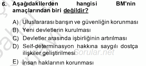 Uluslararası Örgütler 2013 - 2014 Ara Sınavı 6.Soru