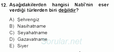 XVII. Yüzyıl Türk Edebiyatı 2013 - 2014 Dönem Sonu Sınavı 12.Soru