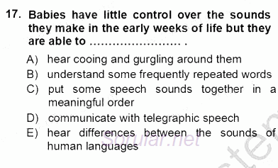 Dil Edinimi 2012 - 2013 Ara Sınavı 17.Soru