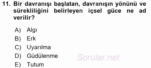 Çalışma Psikolojisi 2017 - 2018 3 Ders Sınavı 11.Soru