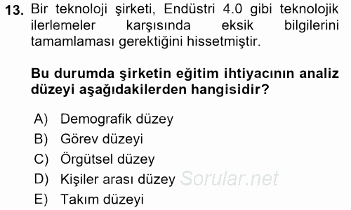 Çalışma Psikolojisi 2017 - 2018 3 Ders Sınavı 13.Soru