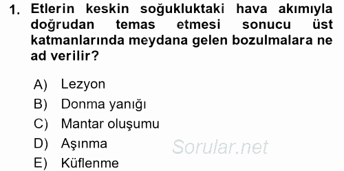 Temel Mutfak Teknikleri 2017 - 2018 Dönem Sonu Sınavı 1.Soru