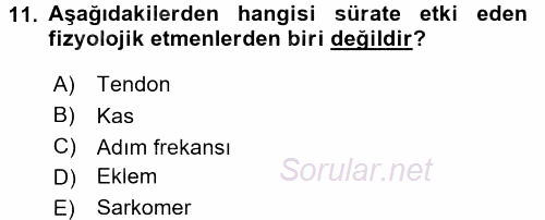 Spor Bilimlerine Giriş 2016 - 2017 Dönem Sonu Sınavı 11.Soru