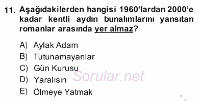 Çağdaş Türk Romanı 2013 - 2014 Ara Sınavı 11.Soru