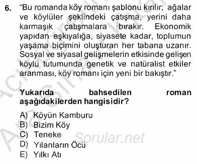 Çağdaş Türk Romanı 2013 - 2014 Ara Sınavı 6.Soru
