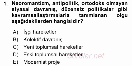 Yeni Toplumsal Hareketler 2017 - 2018 3 Ders Sınavı 1.Soru