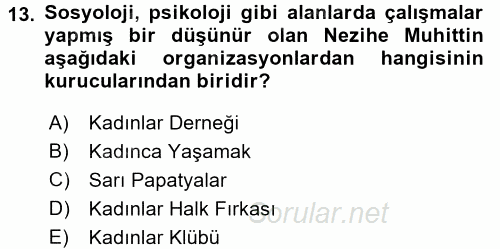 Yeni Toplumsal Hareketler 2017 - 2018 3 Ders Sınavı 13.Soru