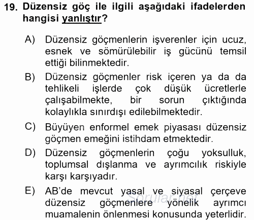 Yeni Toplumsal Hareketler 2017 - 2018 3 Ders Sınavı 19.Soru