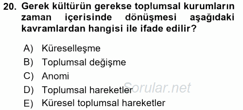 Yeni Toplumsal Hareketler 2017 - 2018 3 Ders Sınavı 20.Soru