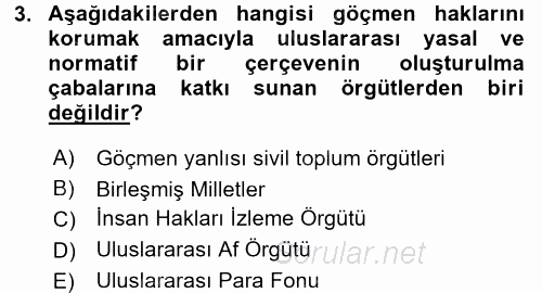 Yeni Toplumsal Hareketler 2017 - 2018 3 Ders Sınavı 3.Soru