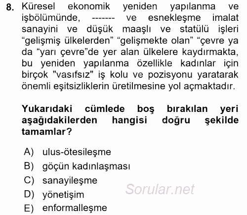 Yeni Toplumsal Hareketler 2017 - 2018 3 Ders Sınavı 8.Soru
