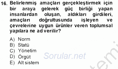 Eğitim Sosyolojisi 2013 - 2014 Tek Ders Sınavı 16.Soru