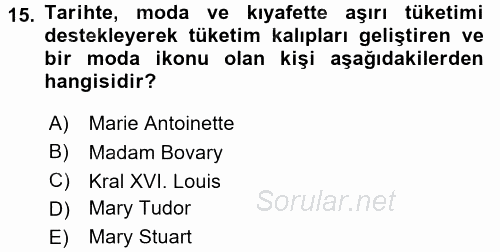 Giysi Seçimi 2016 - 2017 Dönem Sonu Sınavı 15.Soru
