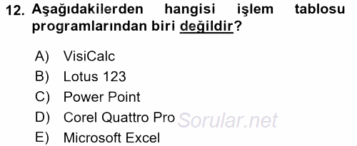 Dış Ticarette Bilgisayar Uygulamaları 2015 - 2016 Ara Sınavı 12.Soru
