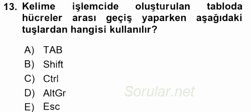 Dış Ticarette Bilgisayar Uygulamaları 2015 - 2016 Ara Sınavı 13.Soru
