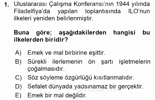 Çalışma Yaşamının Denetimi 2017 - 2018 Ara Sınavı 1.Soru