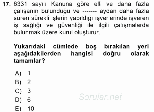 Çalışma Yaşamının Denetimi 2017 - 2018 Ara Sınavı 17.Soru