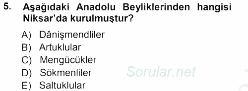 Orta Çağ ve Yeni Çağ Türk Devletleri Tarihi 2012 - 2013 Ara Sınavı 5.Soru