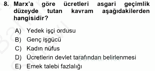 Gelir Dağılımı ve Yoksulluk 2016 - 2017 Ara Sınavı 8.Soru