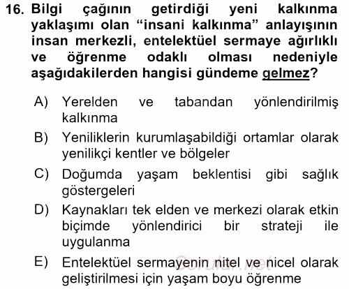 Ekonomi Sosyolojisi 2015 - 2016 Tek Ders Sınavı 16.Soru