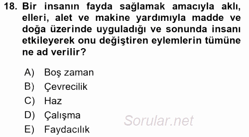Ekonomi Sosyolojisi 2015 - 2016 Tek Ders Sınavı 18.Soru