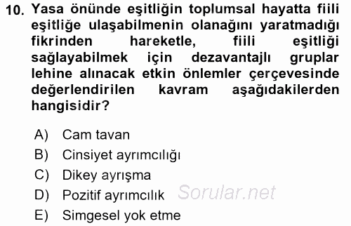 Toplumsal Cinsiyet Çalışmaları 2015 - 2016 Tek Ders Sınavı 10.Soru
