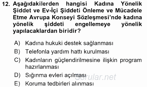 Toplumsal Cinsiyet Çalışmaları 2015 - 2016 Tek Ders Sınavı 12.Soru