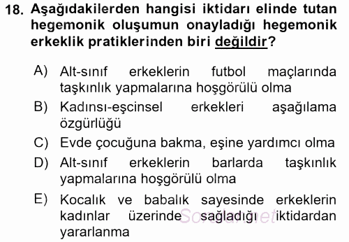 Toplumsal Cinsiyet Çalışmaları 2015 - 2016 Tek Ders Sınavı 18.Soru