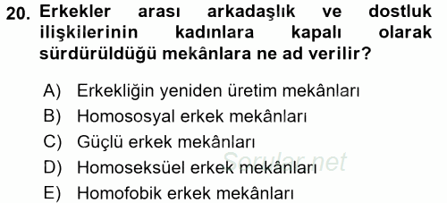 Toplumsal Cinsiyet Çalışmaları 2015 - 2016 Tek Ders Sınavı 20.Soru