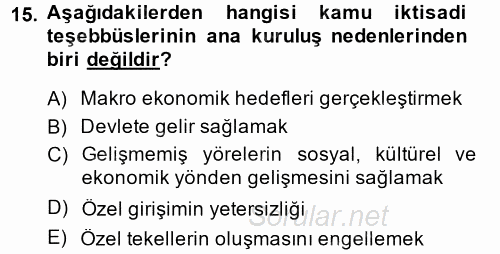 Kamu Özel Kesim Yapısı Ve İlişkileri 2013 - 2014 Tek Ders Sınavı 15.Soru