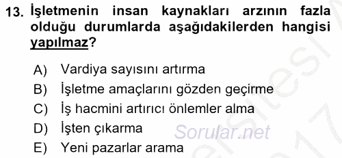 Örgütlerde İnsan Kaynakları Yönetimi 2016 - 2017 Ara Sınavı 13.Soru
