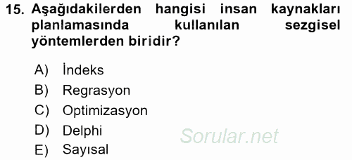 Örgütlerde İnsan Kaynakları Yönetimi 2016 - 2017 Ara Sınavı 15.Soru
