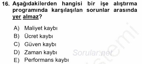 Örgütlerde İnsan Kaynakları Yönetimi 2016 - 2017 Ara Sınavı 16.Soru