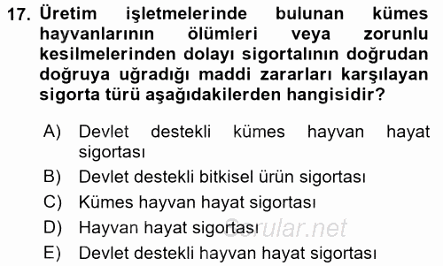 Hayat Dışı Sigortalar 2017 - 2018 Ara Sınavı 17.Soru