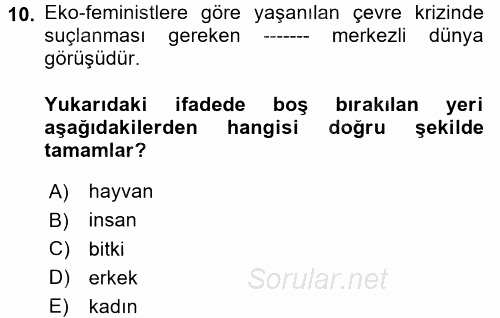 Toplumsal Cinsiyet Sosyolojisi 2017 - 2018 Ara Sınavı 10.Soru