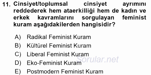 Toplumsal Cinsiyet Sosyolojisi 2017 - 2018 Ara Sınavı 11.Soru