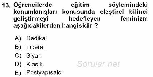 Toplumsal Cinsiyet Sosyolojisi 2017 - 2018 Ara Sınavı 13.Soru