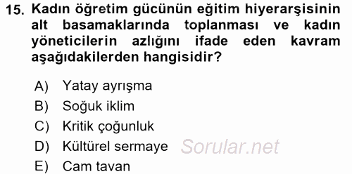 Toplumsal Cinsiyet Sosyolojisi 2017 - 2018 Ara Sınavı 15.Soru