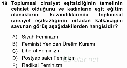 Toplumsal Cinsiyet Sosyolojisi 2017 - 2018 Ara Sınavı 18.Soru