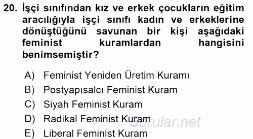 Toplumsal Cinsiyet Sosyolojisi 2017 - 2018 Ara Sınavı 20.Soru